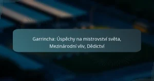 Garrincha: Úspěchy na mistrovství světa, Mezinárodní vliv, Dědictví