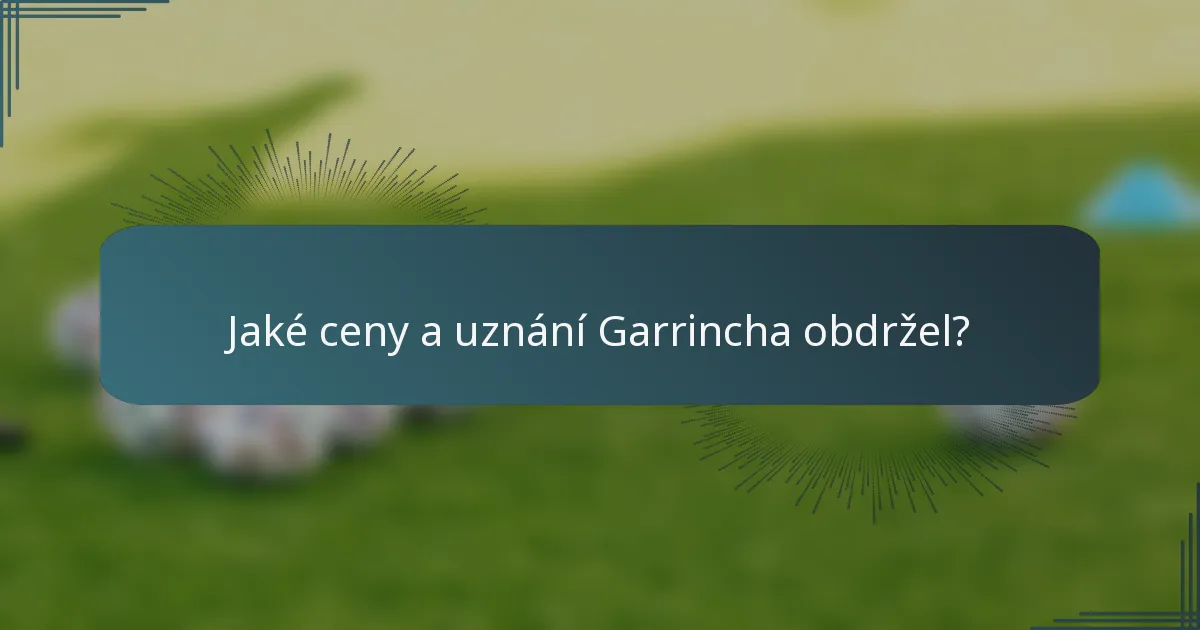 Jaké ceny a uznání Garrincha obdržel?