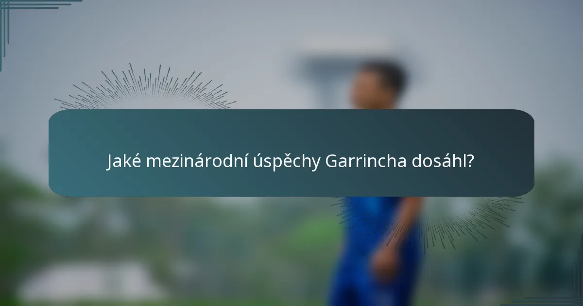 Jaké mezinárodní úspěchy Garrincha dosáhl?